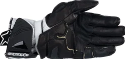 Alpinestars GP Pro R4 Gloves Black Red Fluo White 1321> Motorhandschoenen