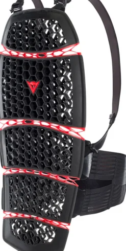 Dainese Pro-Armor Back Black 001> Rugprotectoren